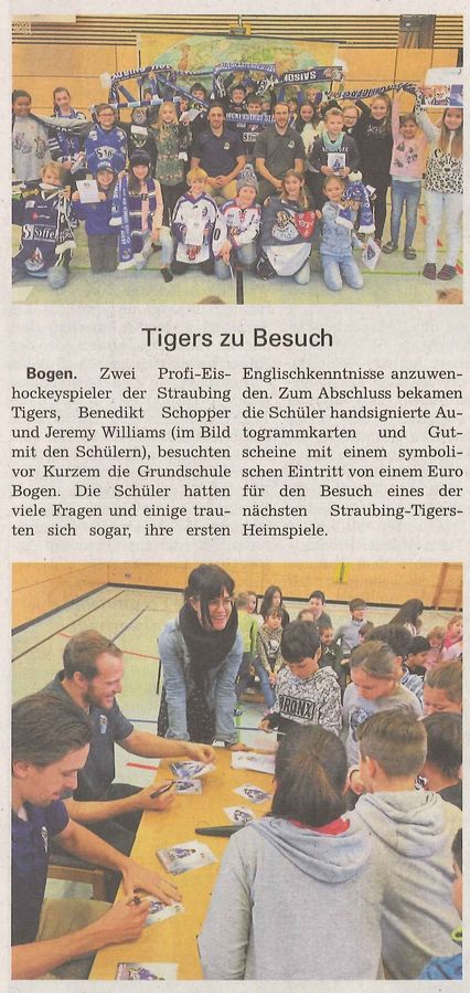 2019 01 31 presse straubing tigers